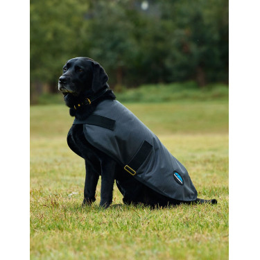 Manta impermeable para perro WeatherBeeta ComFiTec Classic Carbón vegetal Gris Manta impermeable para perro WeatherBeeta ComFiTec Classic Carbón vegetal Gris