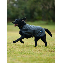 Manta impermeable para perro WeatherBeeta ComFiTec Classic Carbón vegetal Gris