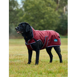 Manta impermeable para perro Weatherbeeta ComFiTec Premier Deluxe Burdeos / marino