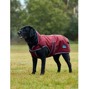 Manta impermeable para perro Weatherbeeta ComFiTec Premier Deluxe Burdeos / marino Manta impermeable para perro Weatherbeeta ComFiTec Premier Deluxe Burdeos / marino
