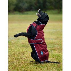 Manta impermeable para perro Weatherbeeta ComFiTec Premier Deluxe Burdeos / marino Manta impermeable para perro Weatherbeeta ComFiTec Premier Deluxe Burdeos / marino
