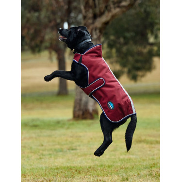Manta impermeable para perro Weatherbeeta ComFiTec Premier Deluxe Burdeos / marino Manta impermeable para perro Weatherbeeta ComFiTec Premier Deluxe Burdeos / marino