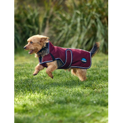 Manta impermeable para perro Weatherbeeta ComFiTec Premier Deluxe Burdeos / marino Manta impermeable para perro Weatherbeeta ComFiTec Premier Deluxe Burdeos / marino