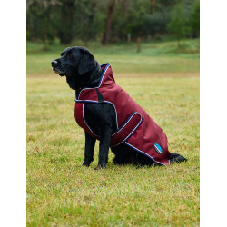 Manta impermeable para perro Weatherbeeta ComFiTec Premier Deluxe Burdeos / marino Manta impermeable para perro Weatherbeeta ComFiTec Premier Deluxe Burdeos / marino
