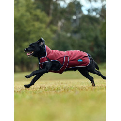 Manta impermeable para perro Weatherbeeta ComFiTec Premier Deluxe Burdeos / marino Manta impermeable para perro Weatherbeeta ComFiTec Premier Deluxe Burdeos / marino