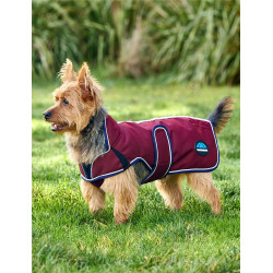 Manta impermeable para perro Weatherbeeta ComFiTec Premier Deluxe Burdeos / marino Manta impermeable para perro Weatherbeeta ComFiTec Premier Deluxe Burdeos / marino