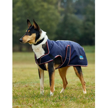 Manta impermeable para perro Weatherbeeta ComFiTec Premier Deluxe Marino / burdeos
