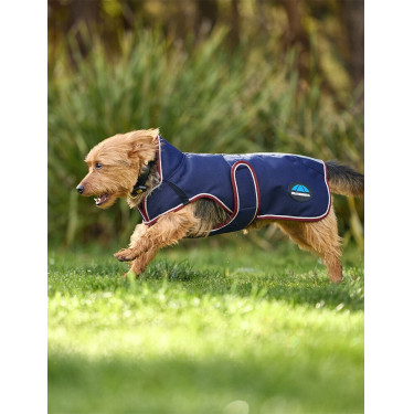 Manta impermeable para perro Weatherbeeta ComFiTec Premier Deluxe Marino / burdeos