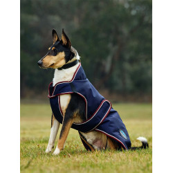 Manta impermeable para perro Weatherbeeta ComFiTec Premier Deluxe Marino / burdeos
