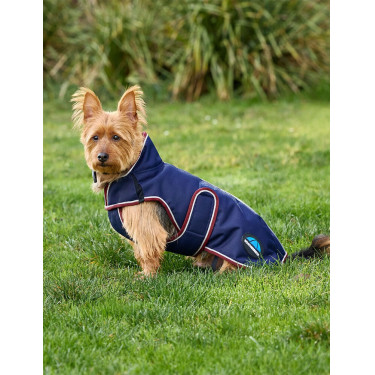 Manta impermeable para perro Weatherbeeta ComFiTec Premier Deluxe Marino / burdeos