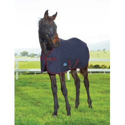 Manta para potro WeatherBeeta 1200D 220 g Marino / burdeos
