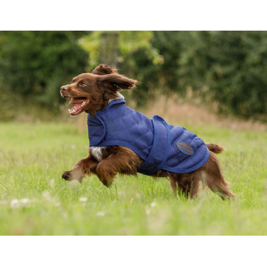 Manta para perro Weatherbeeta ComFiTec Deluxe Diamond Quilt Marino Azul marino Manta para perro Weatherbeeta ComFiTec Deluxe Diamond Quilt Marino Azul marino