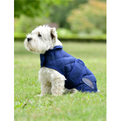 Manta para perro Weatherbeeta ComFiTec Deluxe Diamond Quilt Marino Azul marino Manta para perro Weatherbeeta ComFiTec Deluxe Diamond Quilt Marino Azul marino