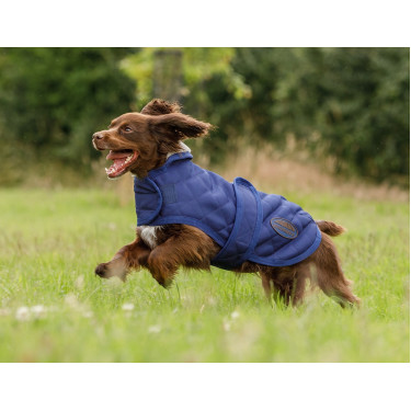 Manta para perro Weatherbeeta ComFiTec Deluxe Diamond Quilt Marino Azul marino Manta para perro Weatherbeeta ComFiTec Deluxe Diamond Quilt Marino Azul marino