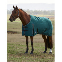 Manta Weatherbeeta ComFiTec Classic Turnout 220 g Verde bosque / negro