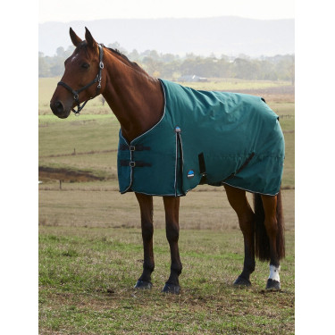 Manta Weatherbeeta ComFiTec Classic Turnout 220 g Verde bosque / negro Manta Weatherbeeta ComFiTec Classic Turnout 220 g Verde bosque / negro