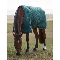 Manta Weatherbeeta ComFiTec Classic Turnout 220 g Verde bosque / negro Manta Weatherbeeta ComFiTec Classic Turnout 220 g Verde bosque / negro