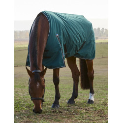 Manta Weatherbeeta ComFiTec Classic Turnout 220 g Verde bosque / negro