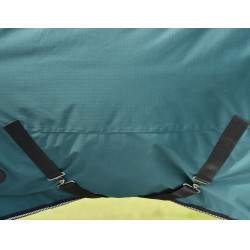Manta Weatherbeeta ComFiTec Classic Turnout 220 g Verde bosque / negro