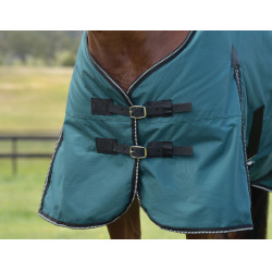 Manta Weatherbeeta ComFiTec Classic Turnout 220 g Verde bosque / negro