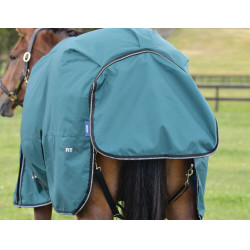 Manta Weatherbeeta ComFiTec Classic Turnout 220 g Verde bosque / negro