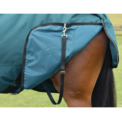 Manta Weatherbeeta ComFiTec Classic Turnout 220 g Verde bosque / negro