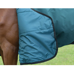Manta Weatherbeeta ComFiTec Classic Turnout 220 g Verde bosque / negro