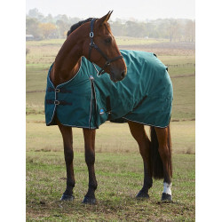 Manta Weatherbeeta ComFiTec Classic Turnout 220 g Verde bosque / negro