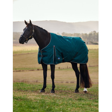 Manta Weatherbeeta ComFiTec Classic Turnout 50 g Verde bosque / negro Manta Weatherbeeta ComFiTec Classic Turnout 50 g Verde bosque / negro