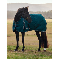 Manta Weatherbeeta ComFiTec Classic Turnout 50 g Verde bosque / negro