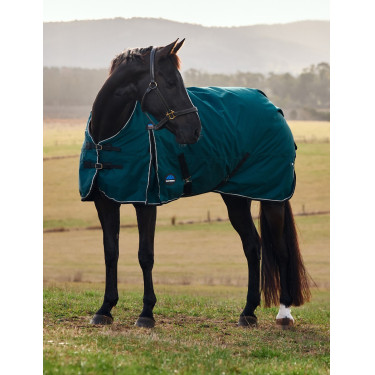 Manta Weatherbeeta ComFiTec Classic Turnout 50 g Verde bosque / negro Manta Weatherbeeta ComFiTec Classic Turnout 50 g Verde bosque / negro