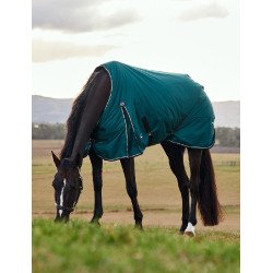 Manta Weatherbeeta ComFiTec Classic Turnout 50 g Verde bosque / negro