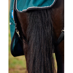 Manta Weatherbeeta ComFiTec Classic Turnout 50 g Verde bosque / negro