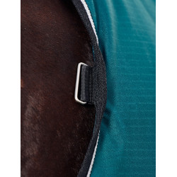 Manta Weatherbeeta ComFiTec Classic Turnout 50 g Verde bosque / negro