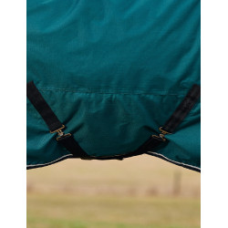 Manta Weatherbeeta ComFiTec Classic Turnout 50 g Verde bosque / negro