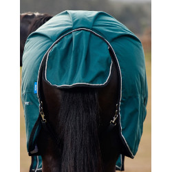 Manta Weatherbeeta ComFiTec Classic Turnout 50 g Verde bosque / negro