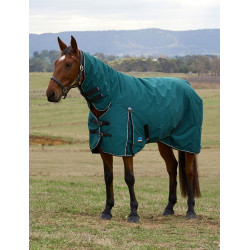 new Verde bosque / negro