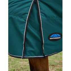 new Verde bosque / negro