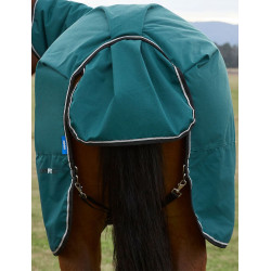 new Verde bosque / negro