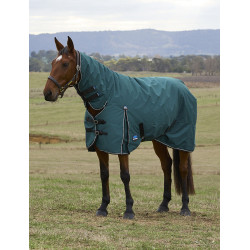 new Verde bosque / negro
