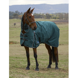 new Verde bosque / negro