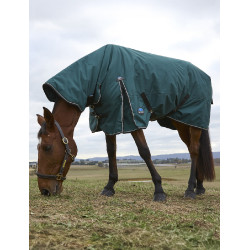 new Verde bosque / negro