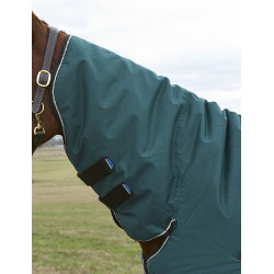 new Verde bosque / negro