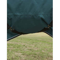 new Verde bosque / negro