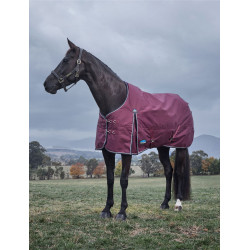 new Burdeos / marino