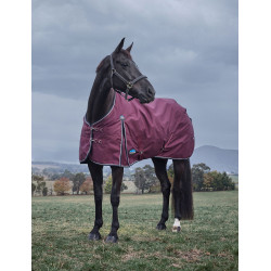 new Burdeos / marino