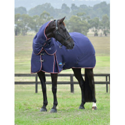 Manta Weatherbeeta ComFiTec Essential Turnout 220 g con cuello desmontable Marino / burdeos
