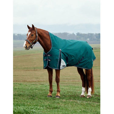 Manta Weatherbeeta ComFiTec Plus Dynamic Turnout 100 g cuello alto Verde bosque / marino Manta Weatherbeeta ComFiTec Plus Dynamic Turnout 100 g cuello alto Verde bosque / marino