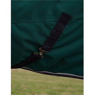 Manta Weatherbeeta ComFiTec Plus Dynamic Turnout 100 g cuello alto Verde bosque / marino Manta Weatherbeeta ComFiTec Plus Dynamic Turnout 100 g cuello alto Verde bosque / marino