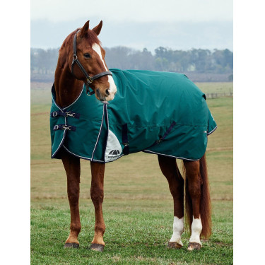 Manta Weatherbeeta ComFiTec Plus Dynamic Turnout 100 g cuello alto Verde bosque / marino Manta Weatherbeeta ComFiTec Plus Dynamic Turnout 100 g cuello alto Verde bosque / marino
